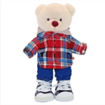 Build a Bear Front View